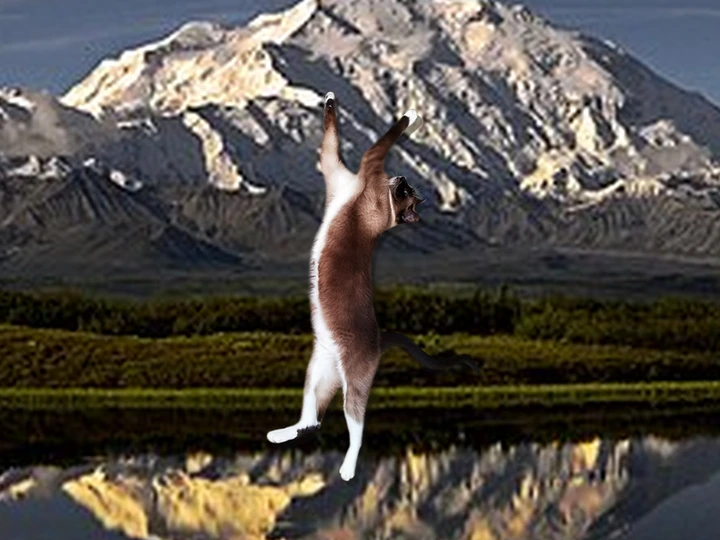 Pet photo background remover example before processing